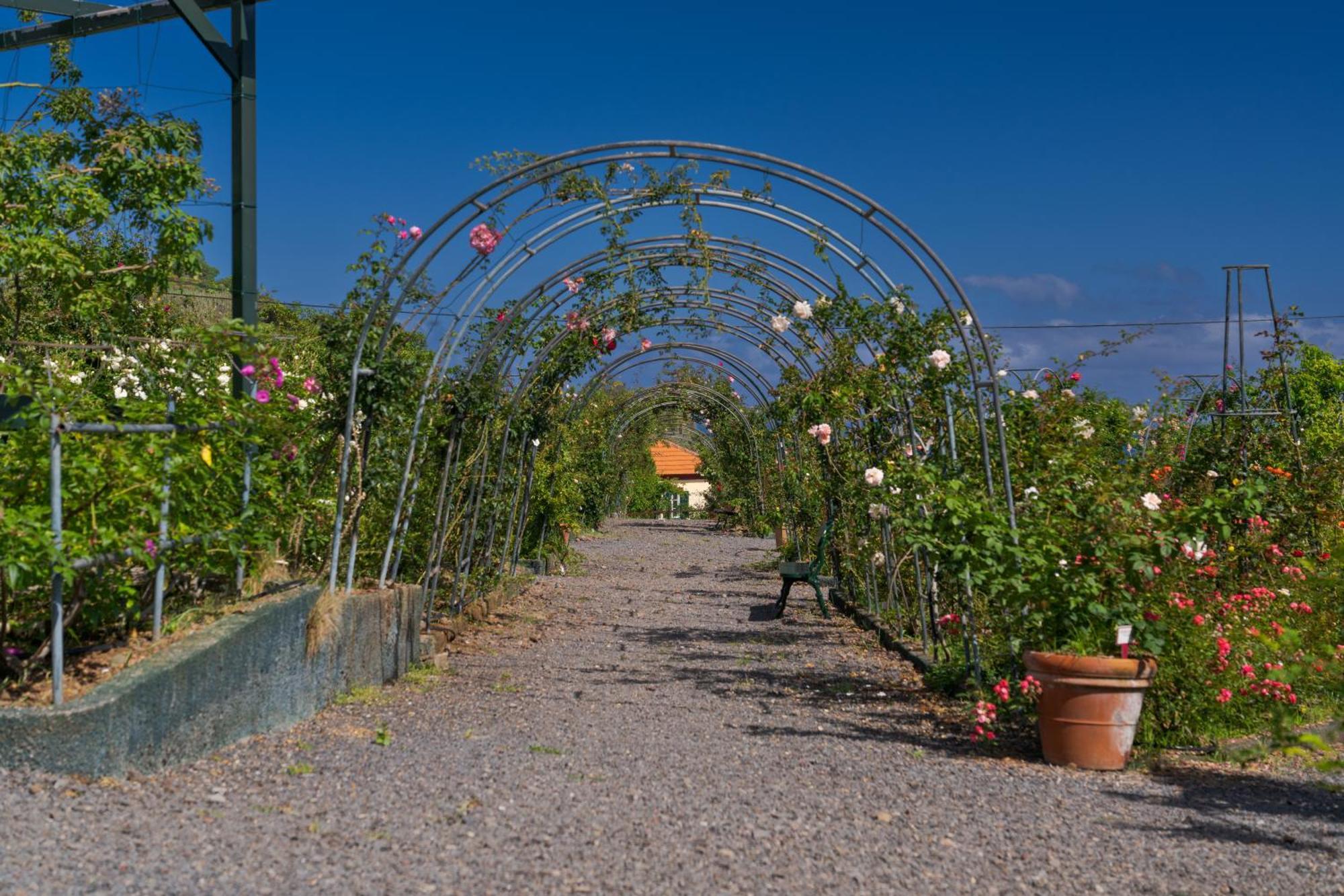 Pestana Quinta Do Arco Nature & Rose Garden Hotel Arco de São Jorge Buitenkant foto