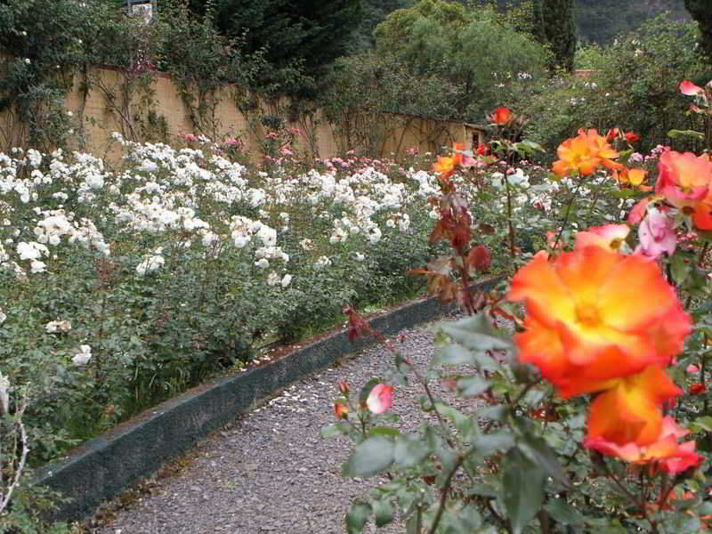 Pestana Quinta Do Arco Nature & Rose Garden Hotel Arco de São Jorge Buitenkant foto