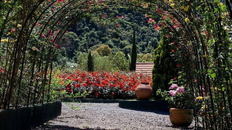 Pestana Quinta Do Arco Nature & Rose Garden Hotel Arco de São Jorge Buitenkant foto