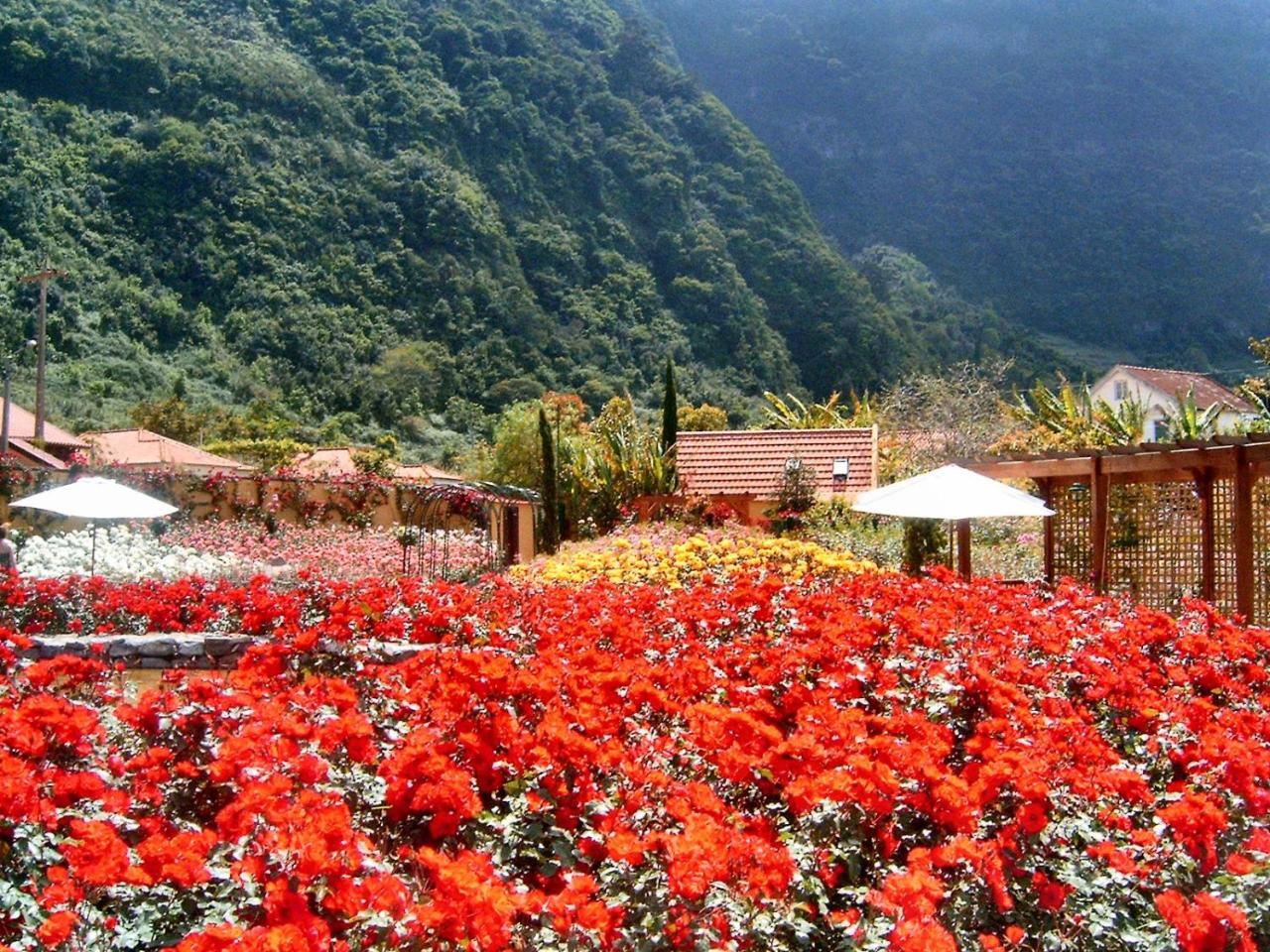 Pestana Quinta Do Arco Nature & Rose Garden Hotel Arco de São Jorge Buitenkant foto